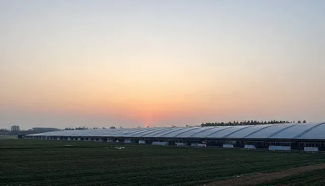 短视频运营中系统兼容性对技术稳定性的影响分析